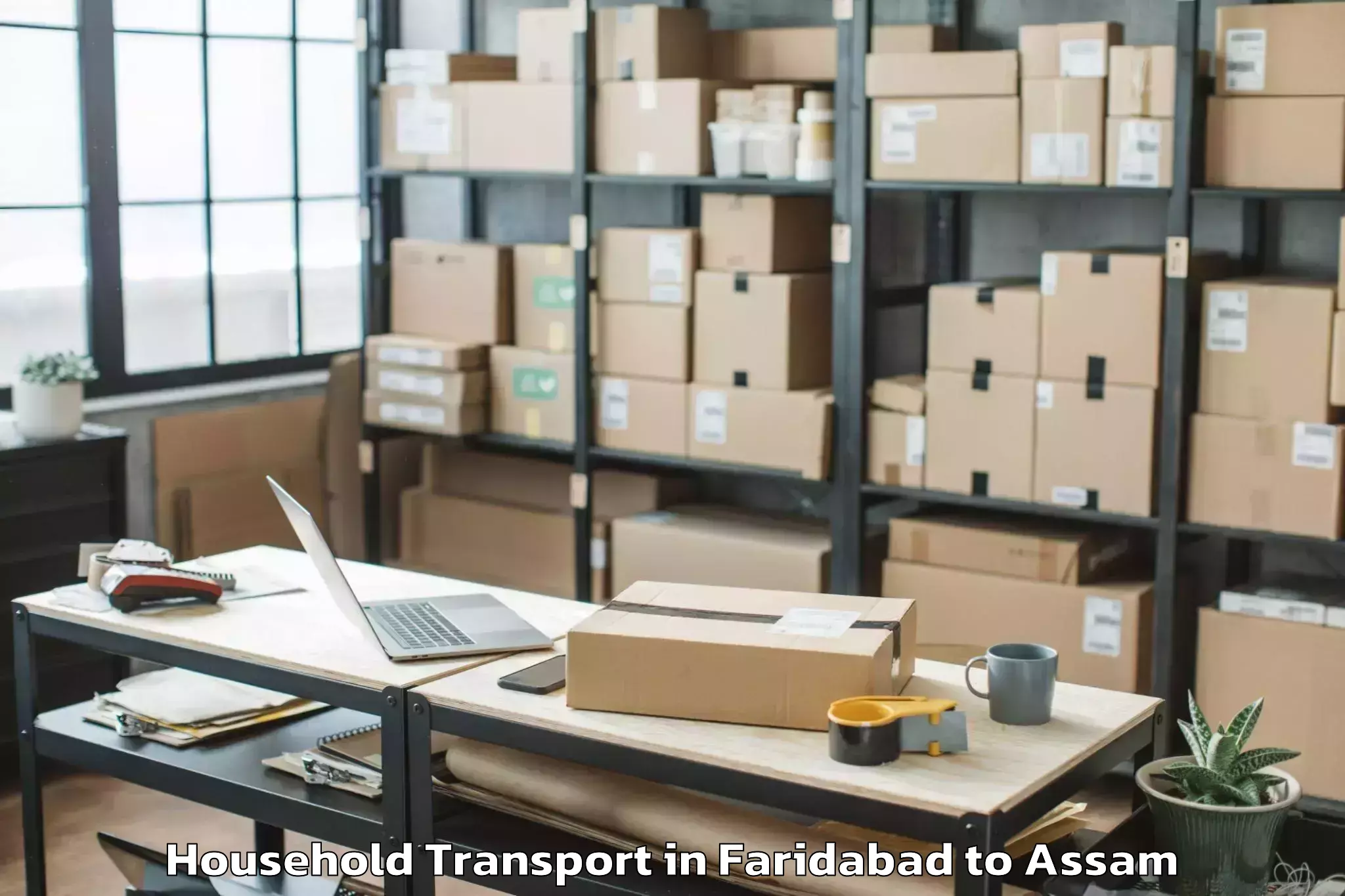 Trusted Faridabad to Moranhat Town Household Transport